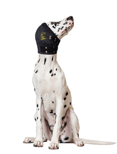 MPS Head Cover Medium